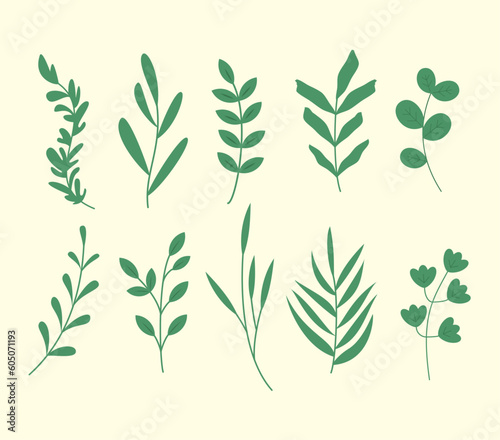 Wallpaper Mural Beautiful romantic flower collection with roses, leaves, floral bouquets, flower compositions. Vector Organic flat design flowers leaf collection Torontodigital.ca