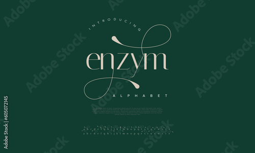 Enzym elegant alphabet letters font and number. Classic Lettering Minimal Fashion Designs. Typography modern serif fonts decorative vintage design concept. vector illustration