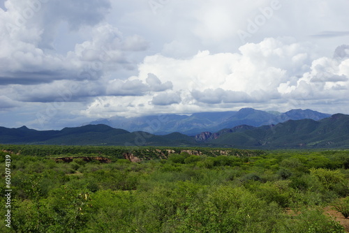 Paisaje de pradera con fondo de montañas y nubes pronunciadas