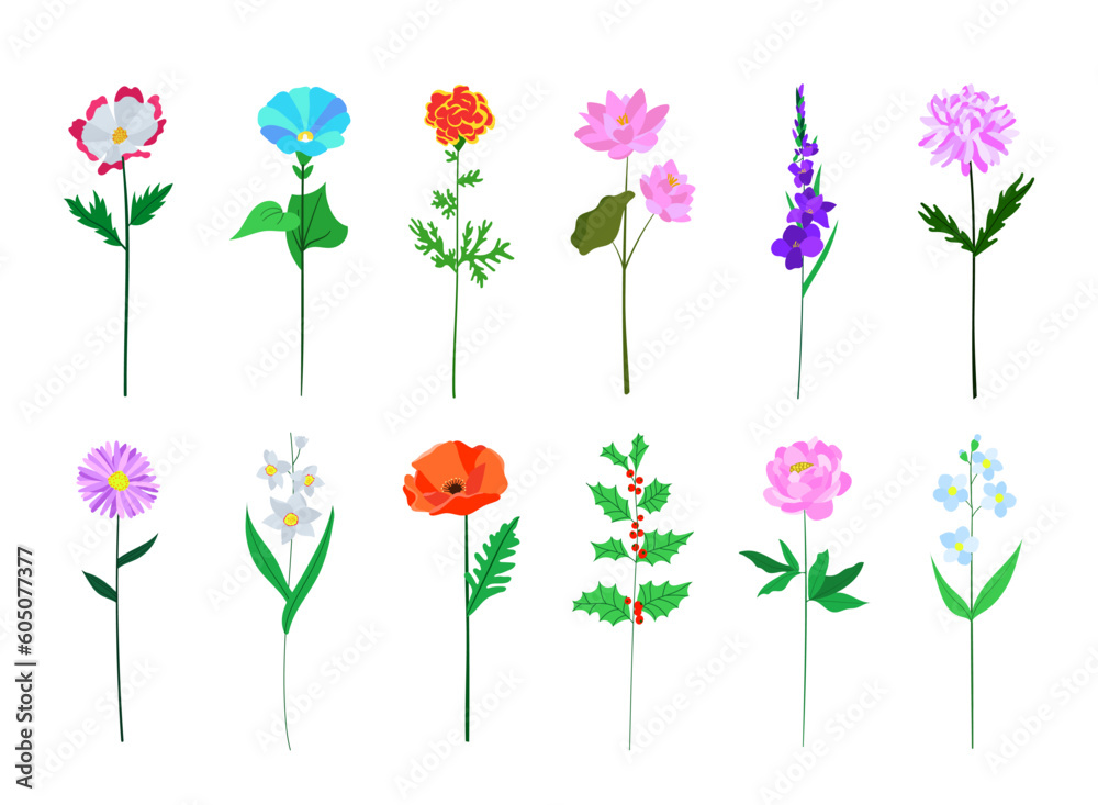 Realistic colorful flat flower set. Perfect for illustrations and biology education.