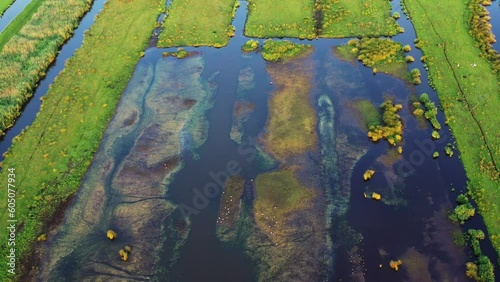 Sustainable farmlands and floodplain water with wetland birds soaring, aerial photo