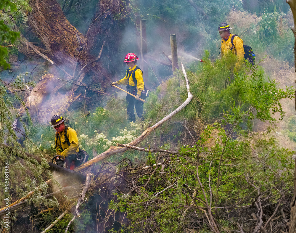 Obraz premium Wildland firefighters engaged in suppression operations at a vegetation fire
