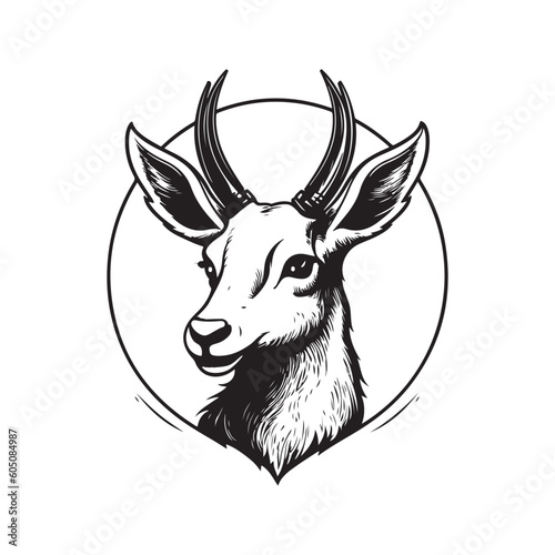 musk deer, vintage logo line art concept black and white color, hand drawn illustration