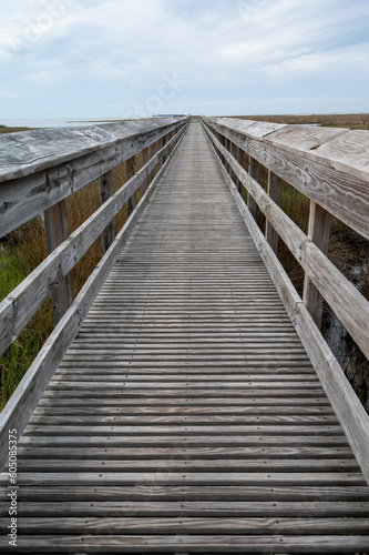 A wooden walkway leading out into a natural area in Florida