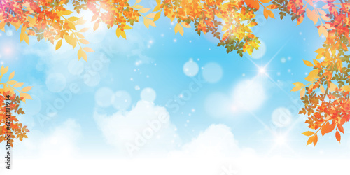 紅葉　もみじ　風景　背景