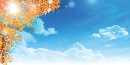 紅葉　もみじ　風景　背景