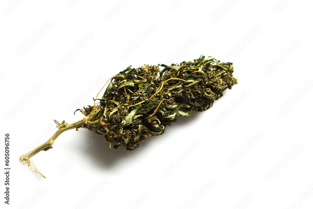Dried cannabis is alternative medicine Dried cannabis is alternative medicine