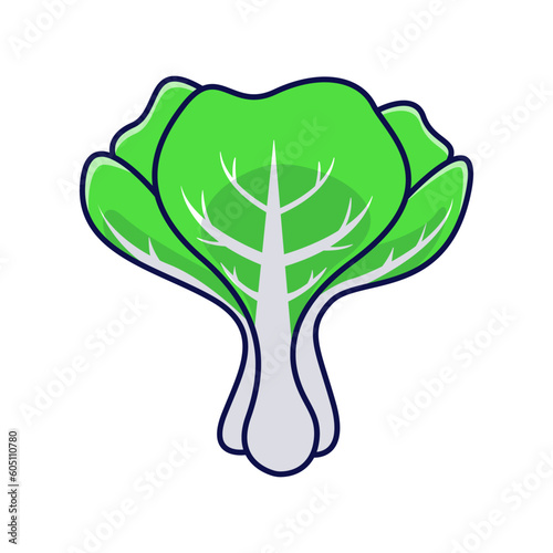 Bok choy vegetable icon illustration. isolated bok choy icon on white background. Vector illustration
