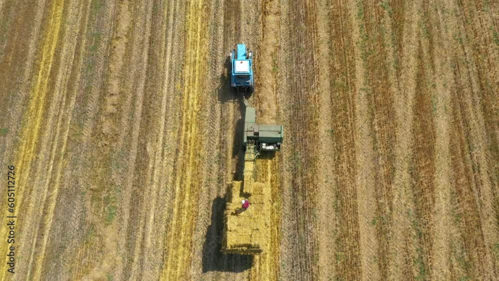 A tractor collects hay from the agricultural field. Farm machinery performs seasonal summer work on the field. A worker stacks hay bales. Modern agriculture at drone view. 4K A tractor collects hay from the agricultural field. Farm machinery performs seasonal summer work on the field. A worker stacks hay bales. Modern agriculture at drone view. 4K