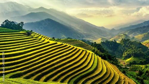 Rice terraces at sunset