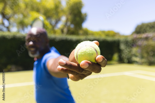 Happy senior african american man playing tennis, holding ball before serving on sunny grass court © wavebreak3