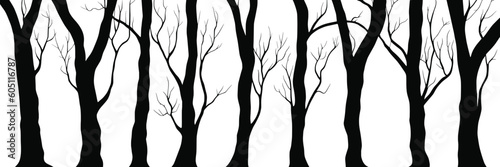 Silhouettes of trees, tree trunks and branches isolated on white background, natural background, banner