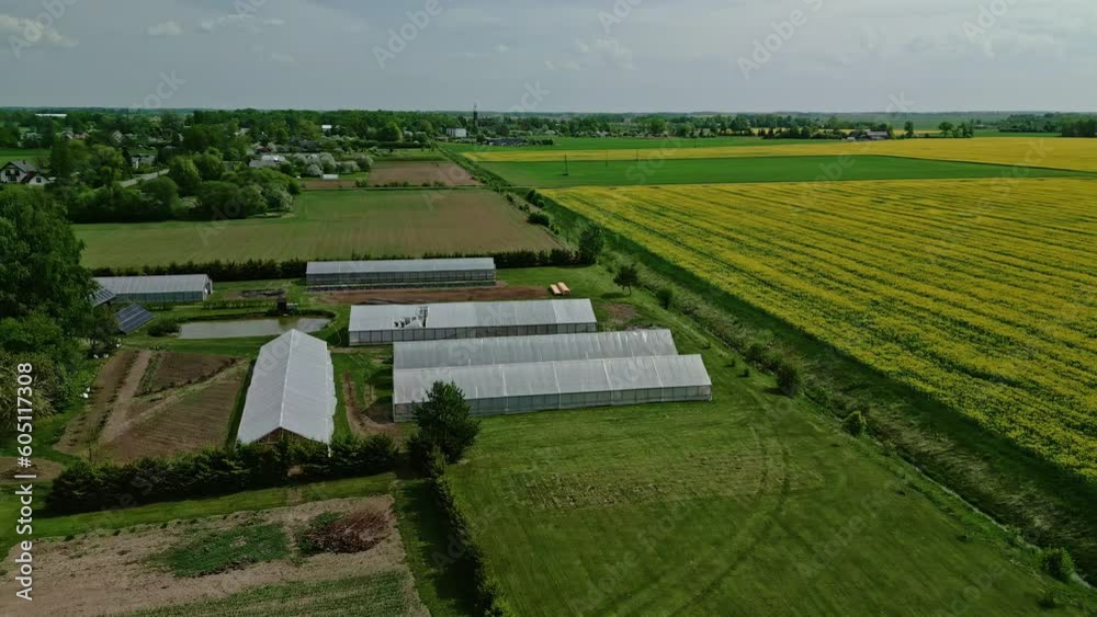 Aerial drone shot from left to right over large yellow rapeseed fields during evening time. Aerial drone shot from left to right over large yellow rapeseed fields during evening time.