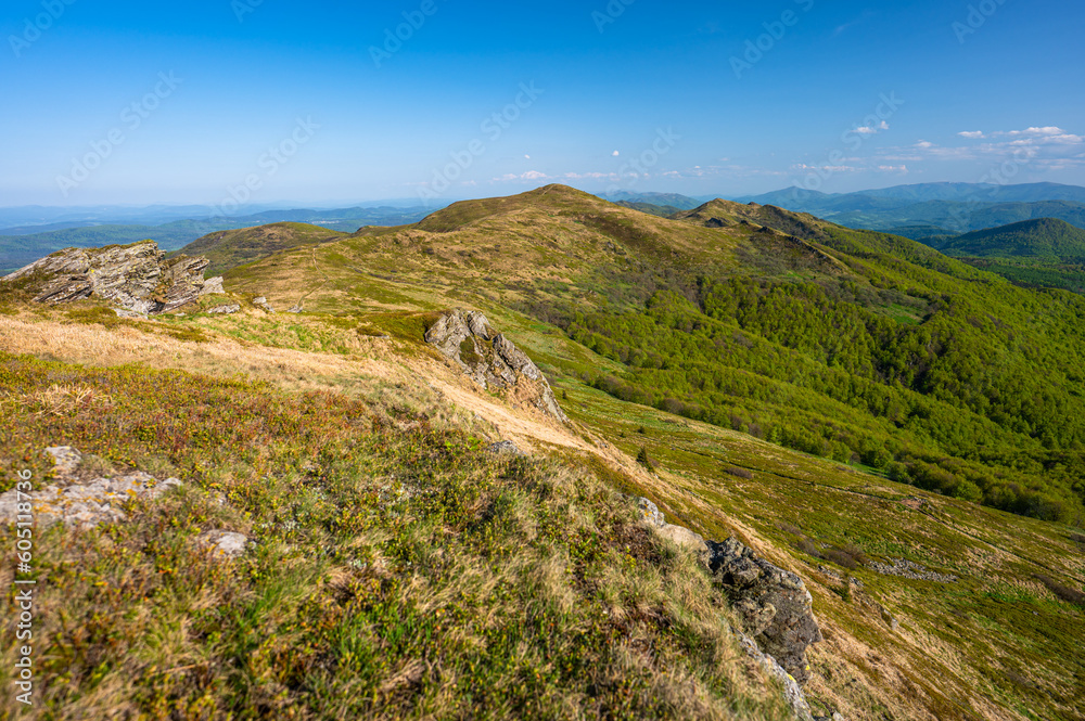 Spring landscape of the Bieszczady Mountains. A view of the Mount Halicz.