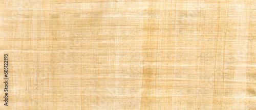 Old papyrus background texture. Banner wallpaper photo