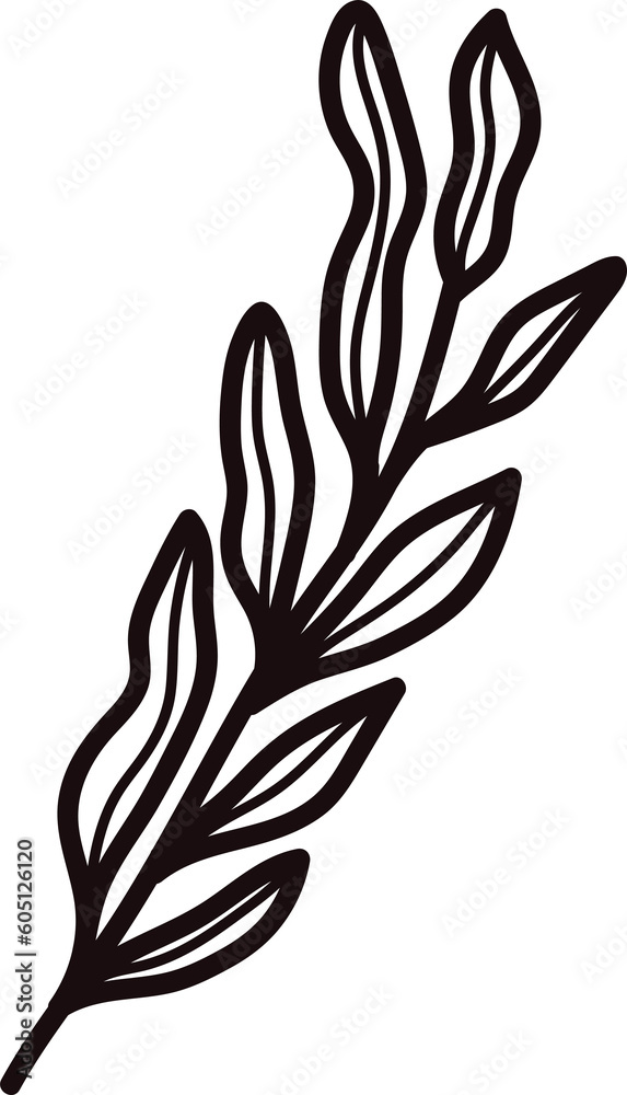 Hand Drawn leaves and twigs from the top view in doodle style Hand Drawn leaves and twigs from the top view in doodle style
