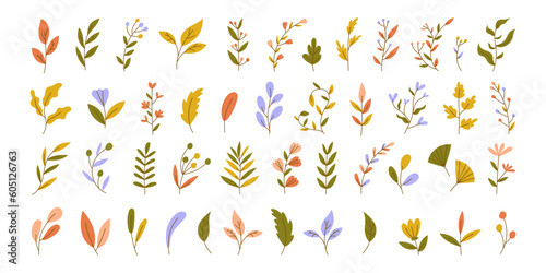 Various Branches with Flowers, Leaves and Berries. Hand drawn Colorful trendy illustration. All elements are isolated. Vector stock illustration, all elements isolated. 