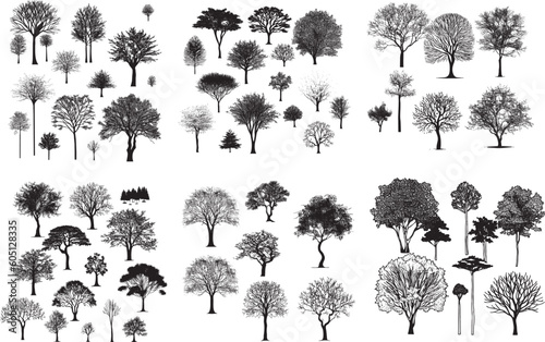 Lot of Tree Pattern Vector set