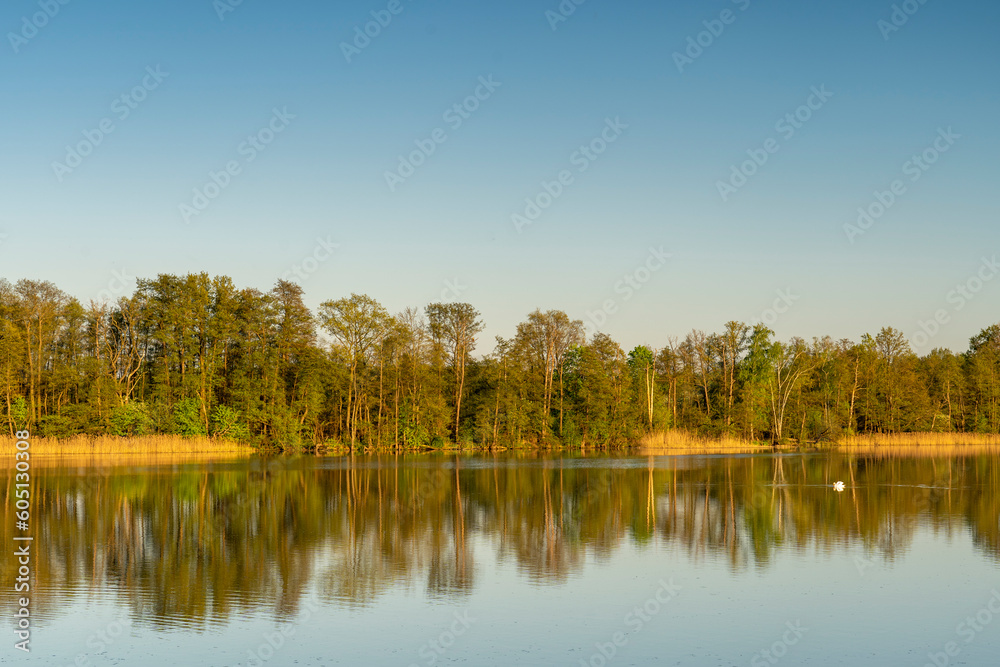 Fototapeta premium Unterwegs im Biosphärenreservat Oberlausitzer Heide- und Teichlandschaft, Teichgebiet Guttau 1