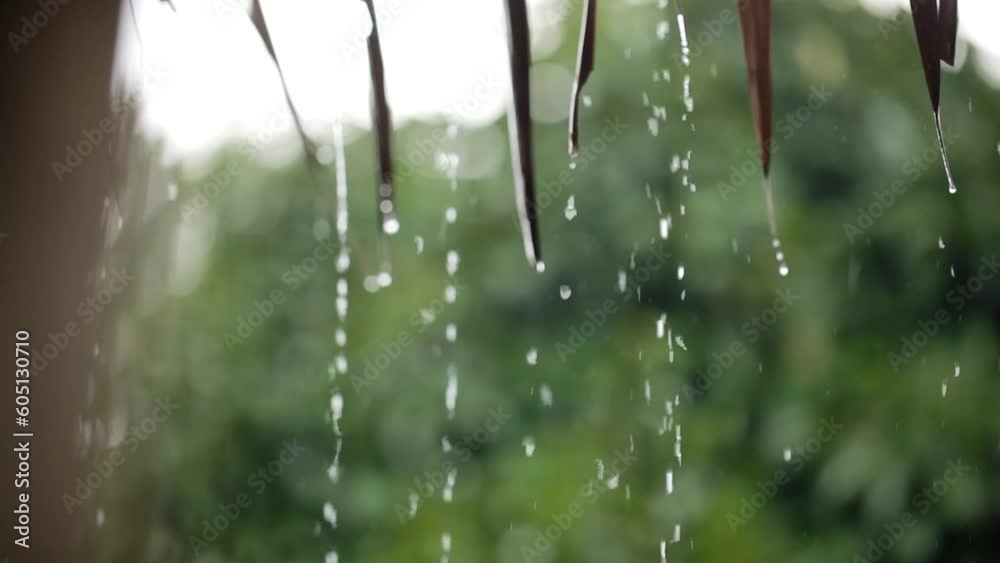 Rain falls on the roof.