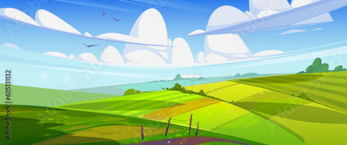 Green summer field on sunny day. Vector cartoon illustration of beautiful countryside nature  rural area  lush grass or agricultural crops growing on farmland  birds flying in blue sky with clouds