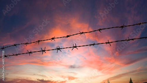 Barbed wire on the background of a bright red sunset.