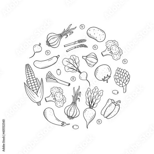 Collection of drawing vegetables in doodle style. A set of vector illustrations of the harvest corn potatoes carrots radishes beets garlic onions tomatoes, etc.