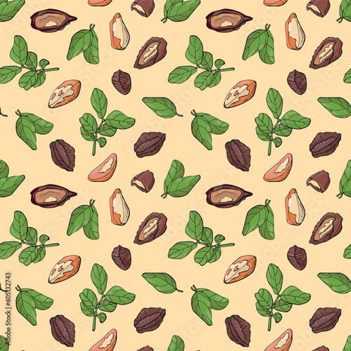 Seamless pattern with brazil nuts. Design for fabric, textile, wallpaper, packaging.