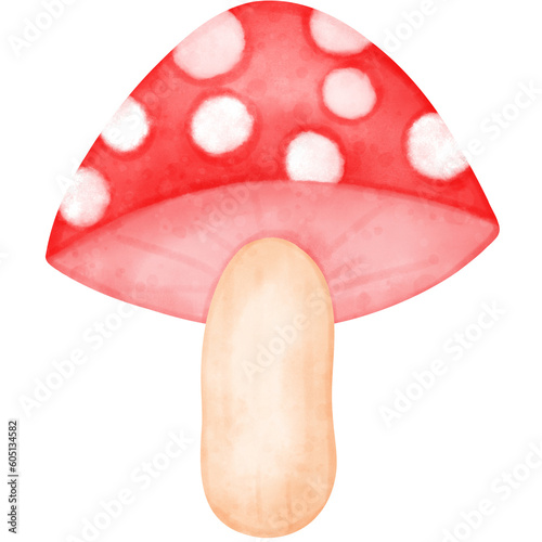 mushroom, watercolor mushroom