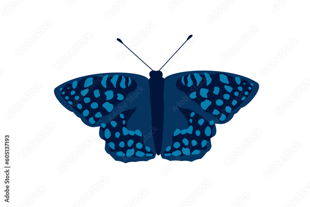 Fototapeta premium butterfly blue wing dots vector illustration