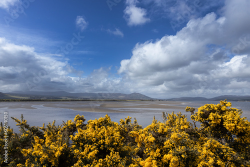 Cambuscurrie Bay, Dornoch firth bridge, Scotland, clouds, broom, river, 