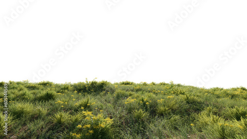 Beautiful grass and flower landscape photo