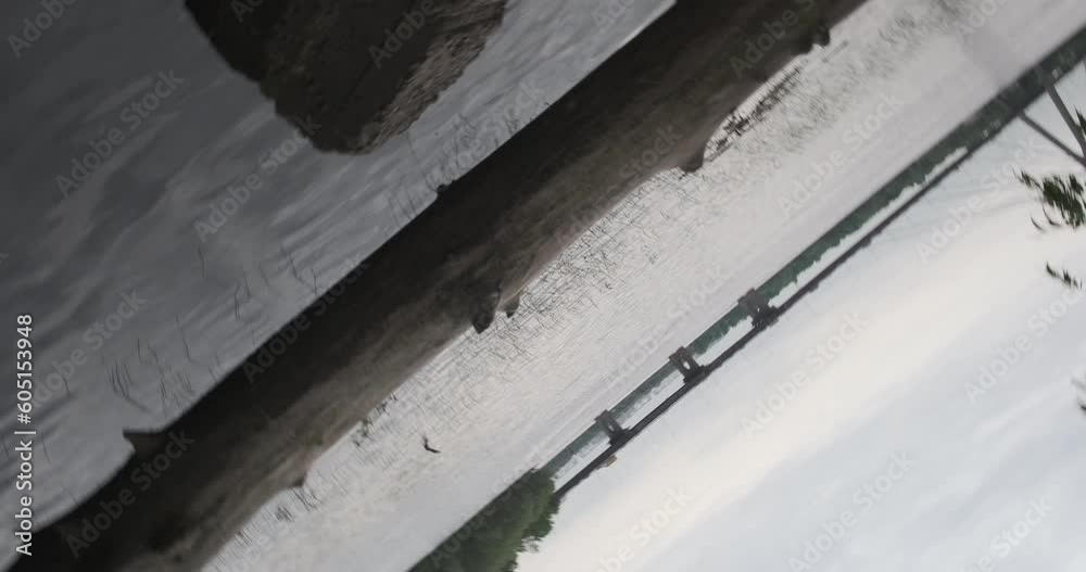 Smooth log lying on the bank of wide river. Flip rotation. City park, bridge trees. Smooth log lying on the bank of wide river. Flip rotation. City park, bridge trees.