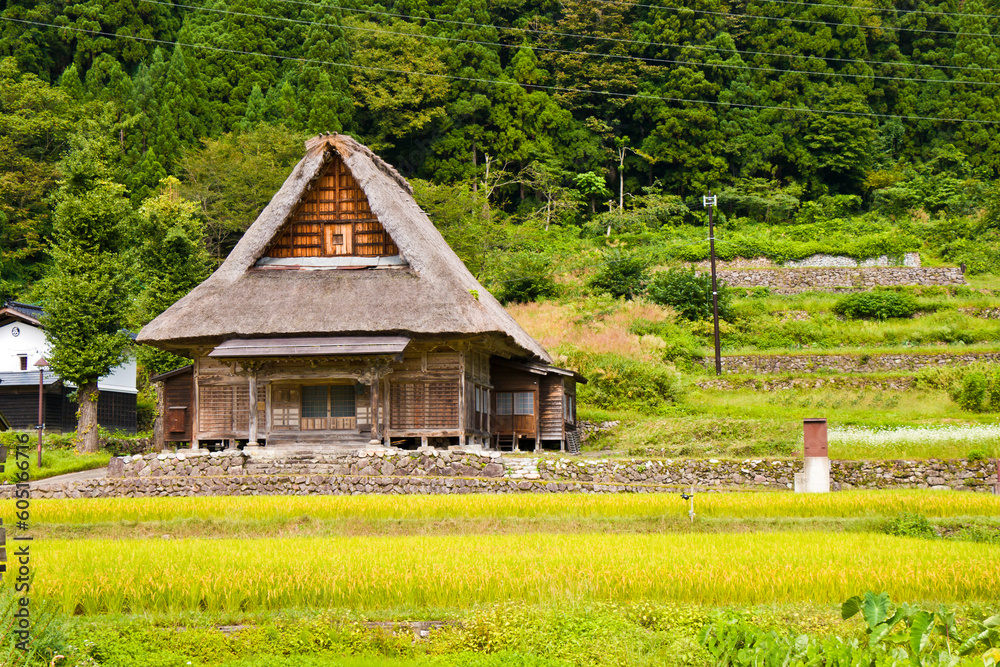 Obraz premium World Heritage site Ainokura (Gokayama) mountain village in Toyama prefecture.