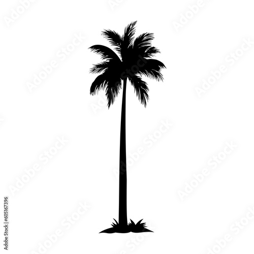 palm tree silhouette