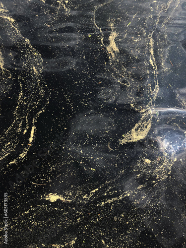 pollen on a lake water