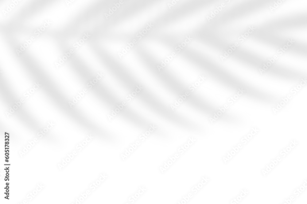 Fototapeta premium Tropical blurred leaf. Light overlay transparent effect.