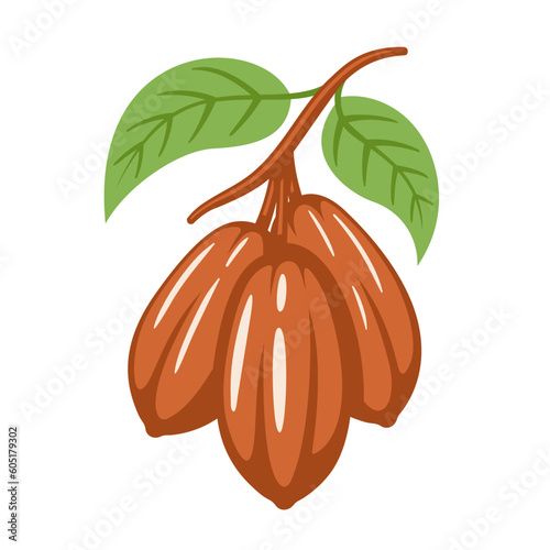 Cocoa beans isolated on white background. Logo template. Cacao beans. Design elements. Vector illustration