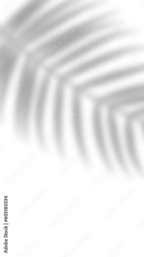 Fototapeta premium Tropical blurred leaf. Light overlay transparent effect.