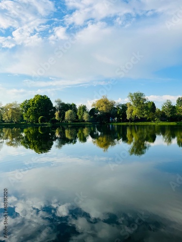 Trees silhouettes and sky reflection on the pond in the park, pond in the park, summer park, lake reflection