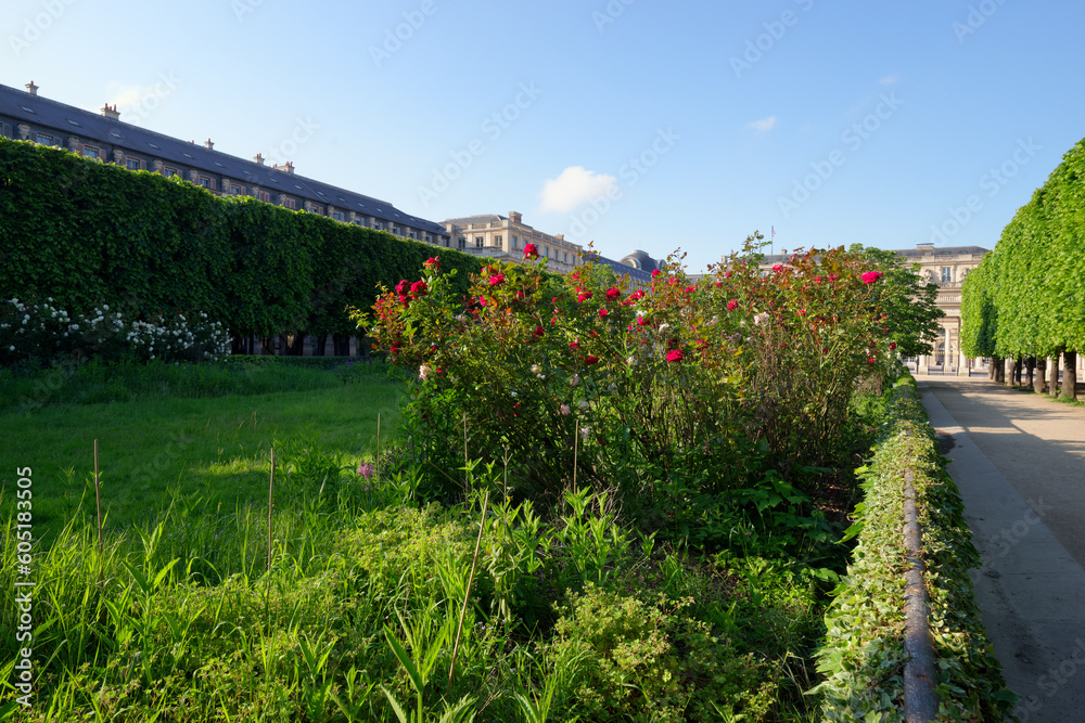 The garden of the Palais-Royal in Paris city