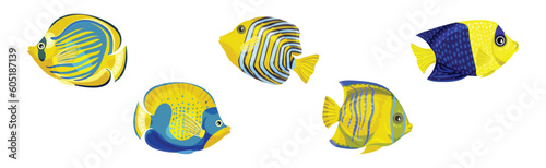 Tropical Fish for Freshwater and Saltwater Aquarium Vector Set