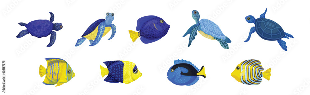 Fototapeta premium Tropical Turtle Reptile and Fish for Freshwater and Saltwater Aquarium Vector Set