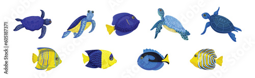 Tropical Turtle Reptile and Fish for Freshwater and Saltwater Aquarium Vector Set