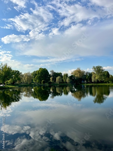Fototapeta Naklejka Na Ścianę i Meble -  Trees silhouettes and sky reflection on the pond in the park, pond in the park, summer park, lake reflection