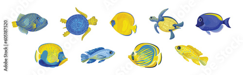 Tropical Turtle Reptile and Fish for Freshwater and Saltwater Aquarium Vector Set