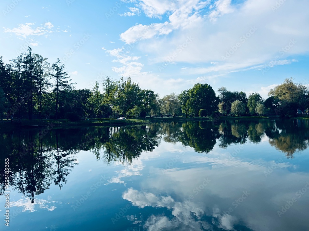 Fototapeta premium Trees silhouettes and sky reflection on the pond in the park, pond in the park, summer park, lake reflection