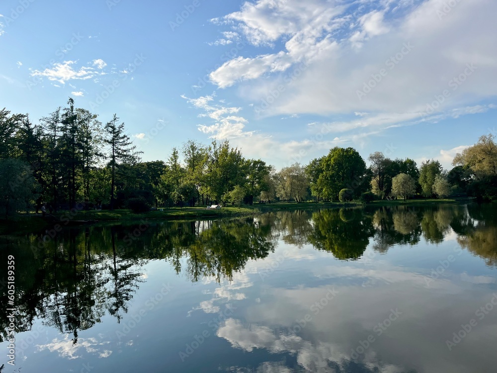 Trees silhouettes and sky reflection on the pond in the park, pond in the park, summer park, lake reflection