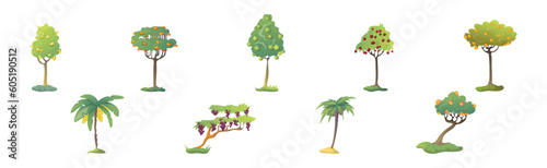 Fruit Tree with Ripe and Mature Crop Hanging Vector Set