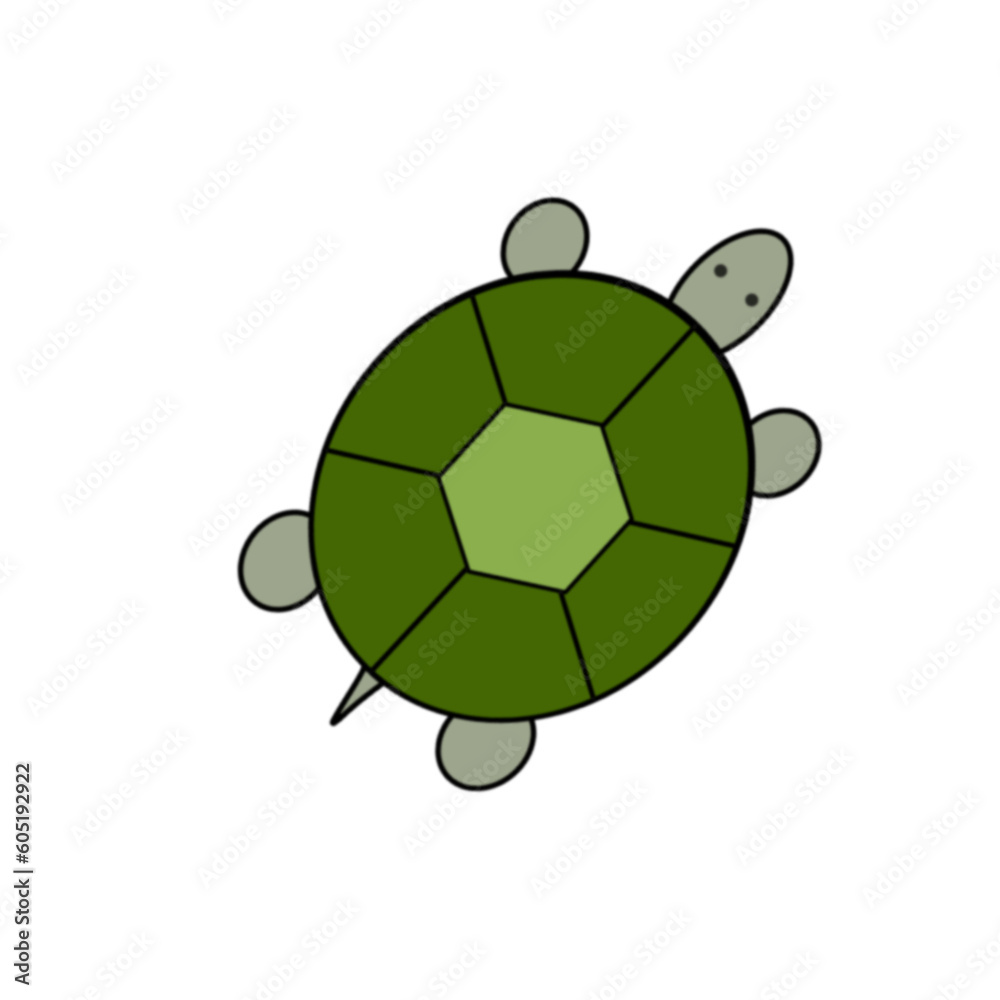 Fototapeta premium turtle